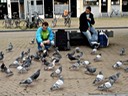Feeding the pigeons