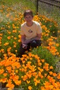 Barbara in poppy field