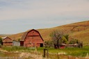 Old red barn in the Palouse