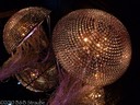 Kristalwelten jellyfish