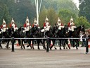 Horse Guards at Buckingham