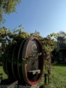 Wine cask in Braubach park