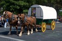 Sheepherder Wagon