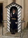 Praha guard