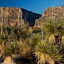 Big Bend 2007