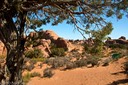Desert Textures