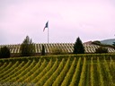 WWII memorial cemetery
