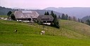 Large barn and farmhouse