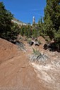 Kodachrome Basin dry wash