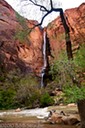 Seasonal waterfall into Virgin River