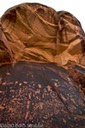 Newspaper Rock