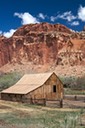 Small farm in Fruita