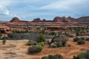 Typical desert floor in Canyonland NP