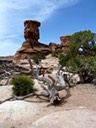 Hoodoo in Canyonland NP