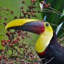 Costa Rica 2014