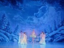Sugar Plum Fairy