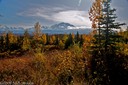 Mt. McKinley from Wonder Lake stop