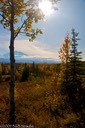 Mt. McKinley from Wonder Lake