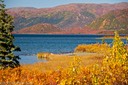 Wonder Lake picnic ground