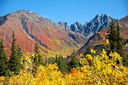 Broad Pass color change
