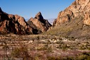 Chisos Basin Campground