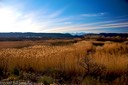 Wetlands at Rio Grande Village