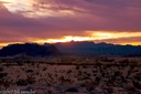 Desert sunset