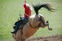 Bareback riding