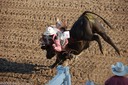 Bull riding