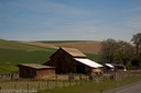 Roadside Palouse barn