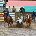 Steer Wrestling - Northwest Style
