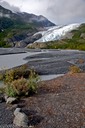 Exit Glacier