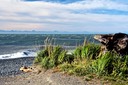 Surf on Homer Spit