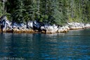 Water's edge, Resurrection Bay