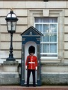 Buckingham Palace guard