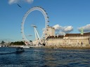 London Eye and aquarium