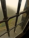 Locked into a misty morning