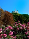 Marksburg Castle in Braubach
