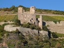 Burg Ehrenfels near Bingen