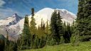 Rainier