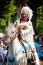 Elder Chief
