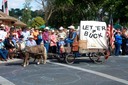 Let 'er Buck