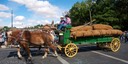 Freight Wagon
