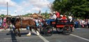 Horse Taxi