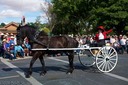 Pendleton Parade 31