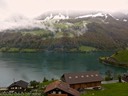 Snow and bright green in the mist