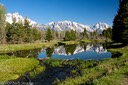 Beaver Dam @ Schwabacher Landing
