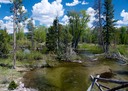 Small pond near Moose, WY.