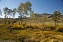 Beautiful Lamar Valley with northern herd