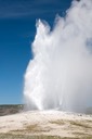 Yellowstone Park 2009